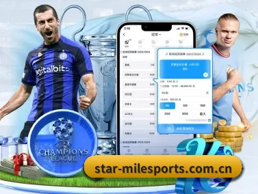 米乐体育 APP 界面